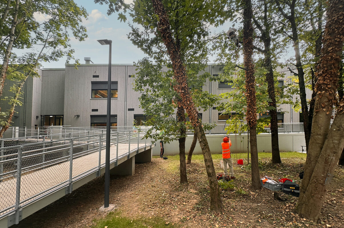 Aussenansicht der Kita in Pfalzel. Eine Referenz von Holzbau Henz.